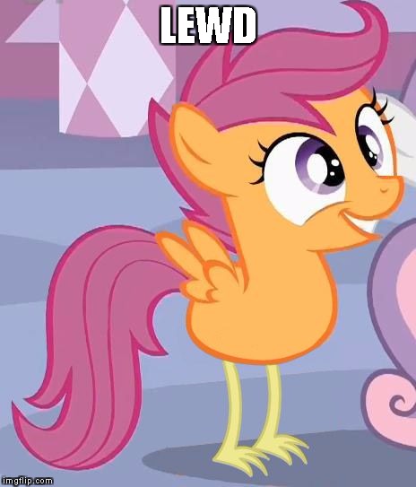 LEWD | image tagged in mlp scootaloo | made w/ Imgflip meme maker