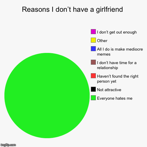 image tagged in funny,pie charts,girlfriend,hate,mediocre | made w/ Imgflip chart maker