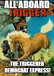 #Triggered | ALL ABOARD; THE TRIGGERED DEMOCRAT EXPRESS! | image tagged in triggered | made w/ Imgflip meme maker