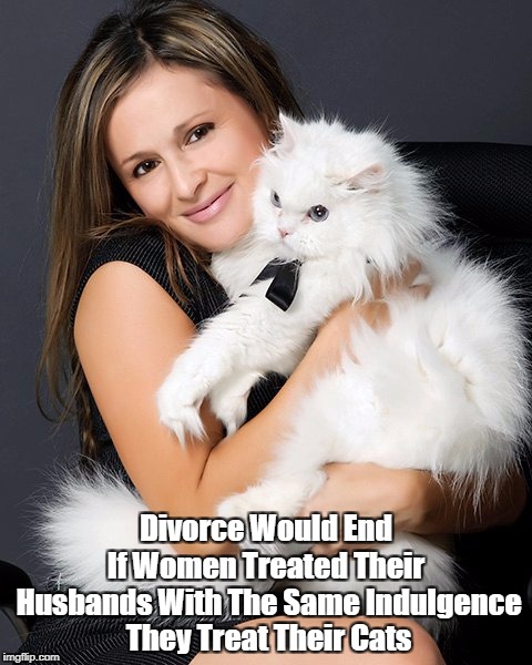 "How To End Divorce - Forever!" | Divorce Would End If Women Treated Their Husbands With The Same Indulgence They Treat Their Cats | image tagged in cats,women,women and cats,divorce,the end of divorce,ending divorce | made w/ Imgflip meme maker