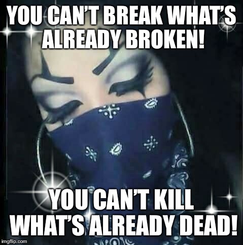 YOU CAN’T BREAK WHAT’S ALREADY BROKEN! YOU CAN’T KILL WHAT’S ALREADY DEAD! | image tagged in gg b0ssbabe | made w/ Imgflip meme maker