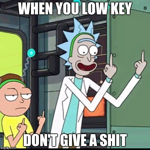 Rick and Morty | WHEN YOU LOW KEY; DON'T GIVE A SHIT | image tagged in rick and morty | made w/ Imgflip meme maker