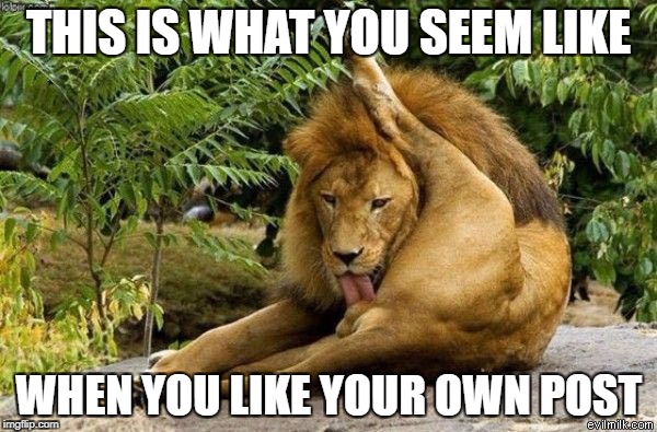 THIS IS WHAT YOU SEEM LIKE; WHEN YOU LIKE YOUR OWN POST | image tagged in lion licks likes | made w/ Imgflip meme maker