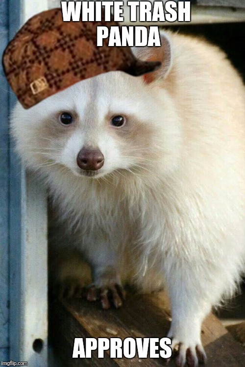 White Trash Panda | WHITE TRASH PANDA; APPROVES | image tagged in white trash panda,scumbag | made w/ Imgflip meme maker