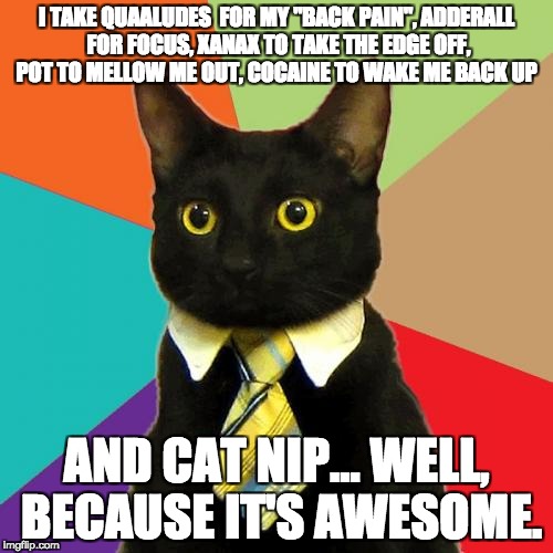 The Cat of Wall Street | I TAKE QUAALUDES  FOR MY "BACK PAIN", ADDERALL FOR FOCUS, XANAX TO TAKE THE EDGE OFF, POT TO MELLOW ME OUT, COCAINE TO WAKE ME BACK UP; AND CAT NIP... WELL, BECAUSE IT'S AWESOME. | image tagged in memes,business cat | made w/ Imgflip meme maker