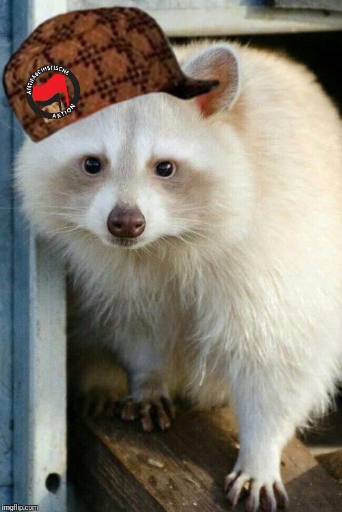 High Quality Fascist white trash panda 2 Blank Meme Template
