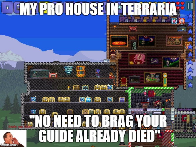 Terraria Roomy Room | MY PRO HOUSE IN TERRARIA; "NO NEED TO BRAG YOUR GUIDE ALREADY DIED" | image tagged in terraria roomy room | made w/ Imgflip meme maker