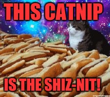 space cats and hot dogs | THIS CATNIP; IS THE SHIZ-NIT! | image tagged in space cats and hot dogs | made w/ Imgflip meme maker