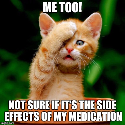 kitten facepalm | ME TOO! NOT SURE IF IT'S THE SIDE EFFECTS OF MY MEDICATION | image tagged in kitten facepalm | made w/ Imgflip meme maker