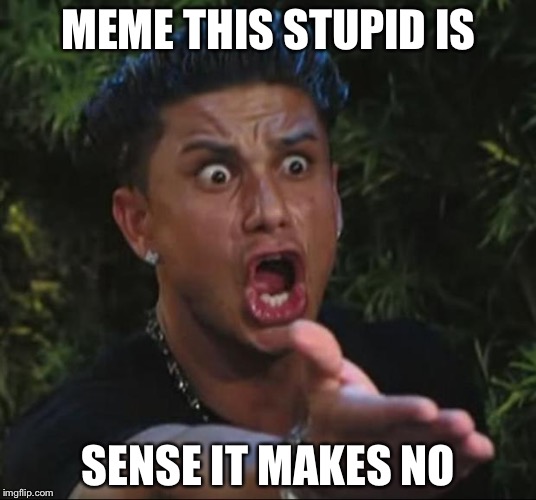 DJ Pauly D | MEME THIS STUPID IS; SENSE IT MAKES NO | image tagged in memes,dj pauly d | made w/ Imgflip meme maker