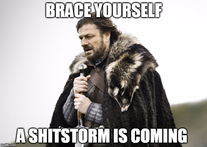 Brace yourself... | BRACE YOURSELF; A SHITSTORM IS COMING | image tagged in eddard stark winter,winter is coming,shitstorm | made w/ Imgflip meme maker