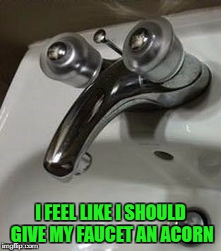 Beginning next week! "Ice Age Week" October 23-30...a Jesus_Milk Event | I FEEL LIKE I SHOULD GIVE MY FAUCET AN ACORN | image tagged in scrat faucet,memes,ice age week,funny,scrat,ice age | made w/ Imgflip meme maker