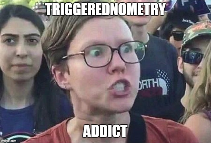 TRIGGEREDNOMETRY ADDICT | made w/ Imgflip meme maker