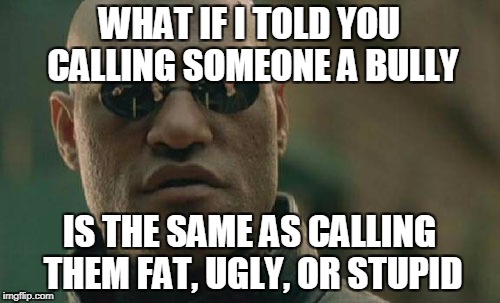 Matrix Morpheus Meme | WHAT IF I TOLD YOU CALLING SOMEONE A BULLY IS THE SAME AS CALLING THEM FAT, UGLY, OR STUPID | image tagged in memes,matrix morpheus | made w/ Imgflip meme maker