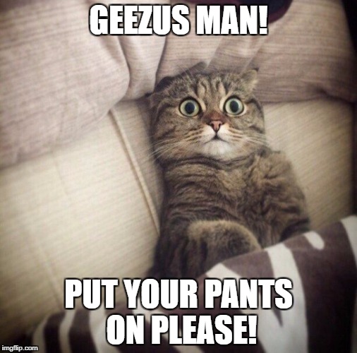 Shocked cat | GEEZUS MAN! PUT YOUR PANTS ON PLEASE! | image tagged in put your pants on,shocked cat,funny cat | made w/ Imgflip meme maker