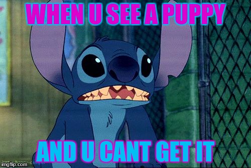 Stich | WHEN U SEE A PUPPY; AND U CANT GET IT | image tagged in stich | made w/ Imgflip meme maker