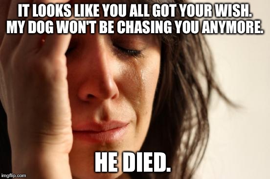 Be careful what you wish for. A depressing meme  | IT LOOKS LIKE YOU ALL GOT YOUR WISH. MY DOG WON'T BE CHASING YOU ANYMORE. HE DIED. | image tagged in memes,first world problems | made w/ Imgflip meme maker