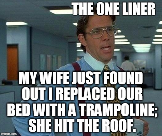 That Would Be Great Meme | THE ONE LINER; MY WIFE JUST FOUND OUT I REPLACED OUR BED WITH A TRAMPOLINE; SHE HIT THE ROOF. | image tagged in memes,that would be great | made w/ Imgflip meme maker