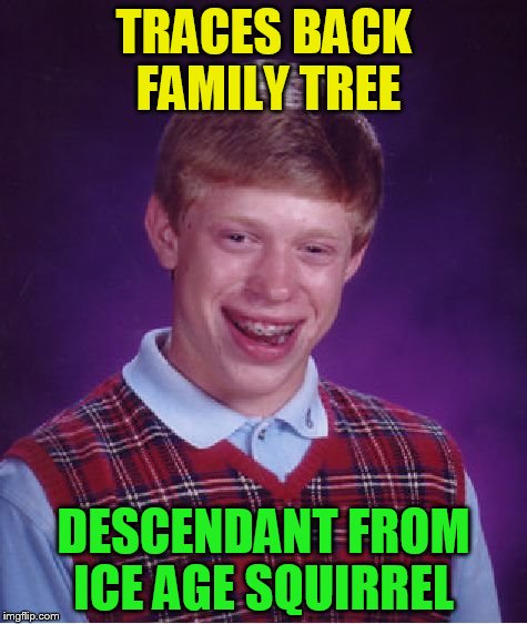 Bad Luck Brian Meme | TRACES BACK FAMILY TREE DESCENDANT FROM ICE AGE SQUIRREL | image tagged in memes,bad luck brian | made w/ Imgflip meme maker