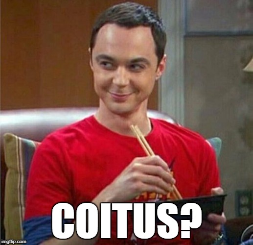 Sheldon Chinese Food | COITUS? | image tagged in sheldon chinese food | made w/ Imgflip meme maker