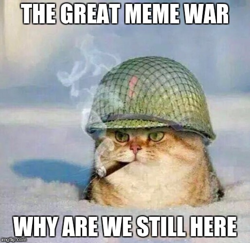War Cat |  THE GREAT MEME WAR; WHY ARE WE STILL HERE | image tagged in war cat | made w/ Imgflip meme maker