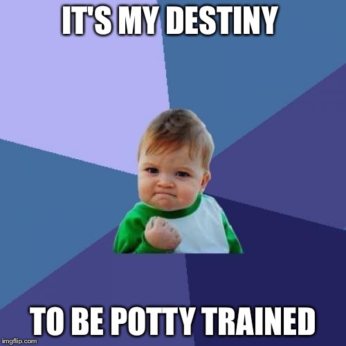 Success Kid | IT'S MY DESTINY; TO BE POTTY TRAINED | image tagged in memes,success kid | made w/ Imgflip meme maker