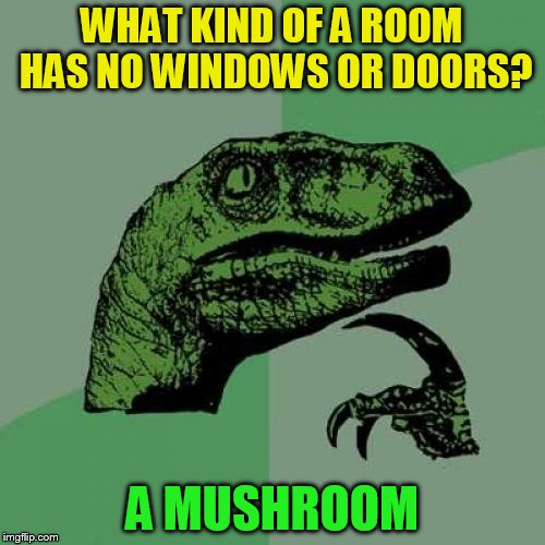 Philosoraptor Meme | WHAT KIND OF A ROOM HAS NO WINDOWS OR DOORS? A MUSHROOM | image tagged in memes,philosoraptor | made w/ Imgflip meme maker