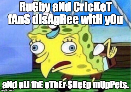 Mocking Spongebob Meme | RuGby aNd CrIcKeT fAnS dIsAgRee wItH yOu; aNd aLl thE oThEr SHeEp mUpPets. | image tagged in mocking spongebob | made w/ Imgflip meme maker