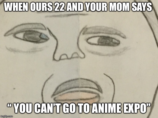 Sad anime fan | WHEN OURS 22 AND YOUR MOM SAYS; “ YOU CAN’T GO TO ANIME EXPO” | image tagged in anime | made w/ Imgflip meme maker