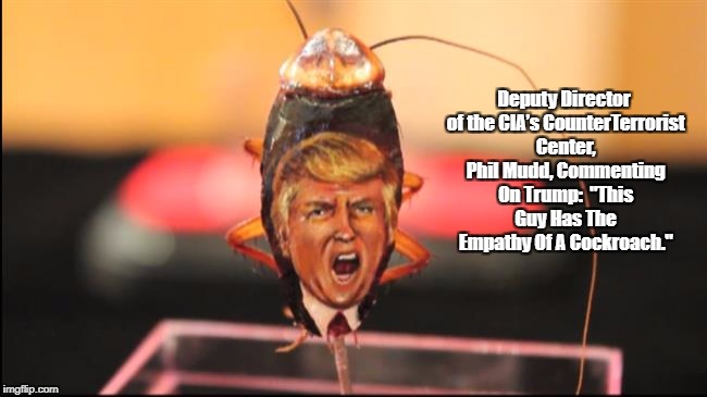 Deputy Director of the CIA’s CounterTerrorist Center, Phil Mudd, Commenting On Trump: 
"This Guy Has The Empathy Of A Cockroach." | made w/ Imgflip meme maker