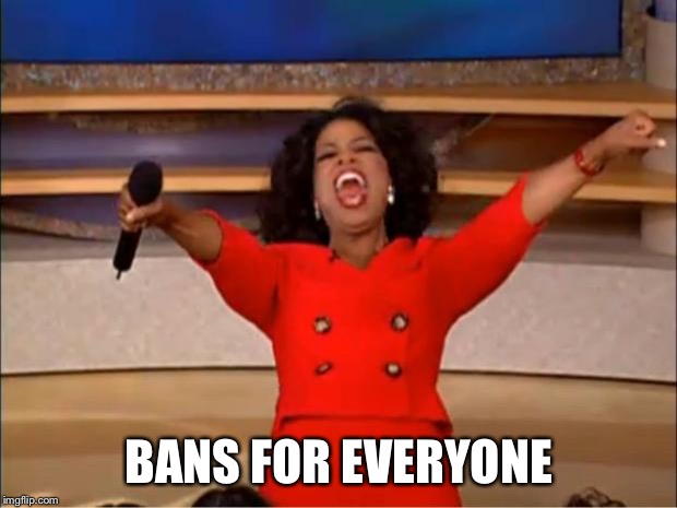 Oprah You Get A Meme | BANS FOR EVERYONE | image tagged in memes,oprah you get a | made w/ Imgflip meme maker