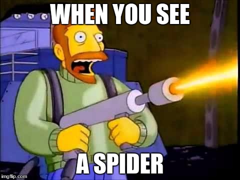 Kill it with fire | WHEN YOU SEE; A SPIDER | image tagged in kill it with fire | made w/ Imgflip meme maker