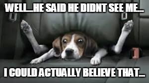 WELL...HE SAID HE DIDNT SEE ME... I COULD ACTUALLY BELIEVE THAT... | image tagged in dog,dog memes,yes this is dog | made w/ Imgflip meme maker
