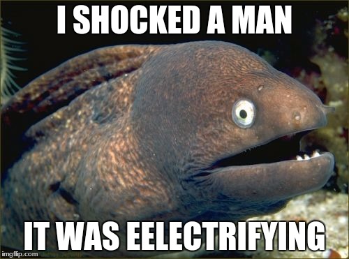 Bad Joke Eel | I SHOCKED A MAN; IT WAS EELECTRIFYING | image tagged in memes,bad joke eel | made w/ Imgflip meme maker