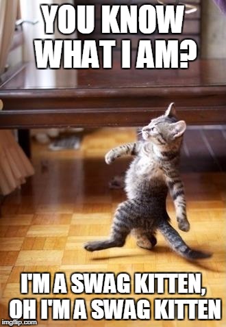 Cool Cat Stroll | YOU KNOW WHAT I AM? I'M A SWAG KITTEN, OH I'M A SWAG KITTEN | image tagged in memes,cool cat stroll | made w/ Imgflip meme maker