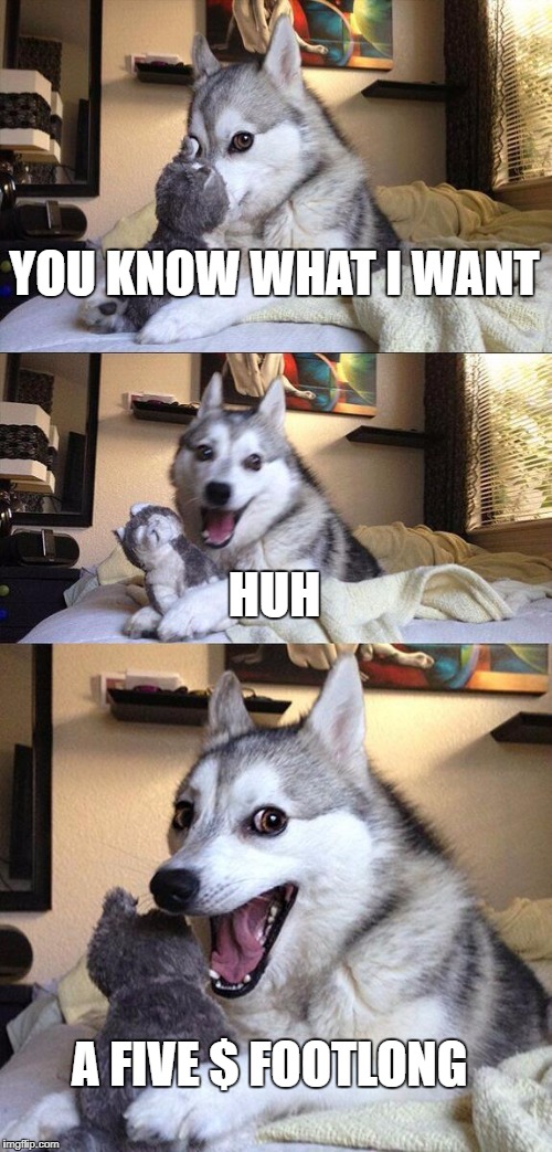 Bad Pun Dog | YOU KNOW WHAT I WANT; HUH; A FIVE $ FOOTLONG | image tagged in memes,bad pun dog | made w/ Imgflip meme maker