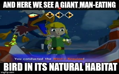 AND HERE WE SEE A GIANT MAN-EATING; BIRD IN ITS NATURAL HABITAT | image tagged in wind waker bird | made w/ Imgflip meme maker
