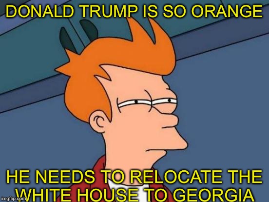 Futurama Fry Roasts Trump! | DONALD TRUMP IS SO ORANGE; HE NEEDS TO RELOCATE THE WHITE HOUSE TO GEORGIA | image tagged in memes,futurama fry,donald trump | made w/ Imgflip meme maker