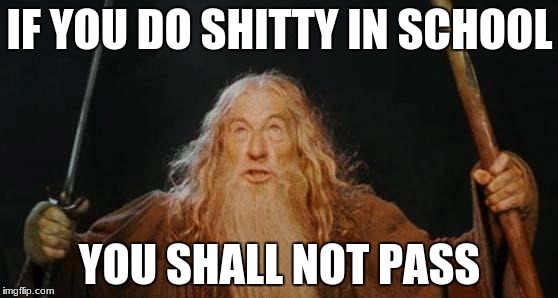 gandalf | IF YOU DO SHITTY IN SCHOOL; YOU SHALL NOT PASS | image tagged in gandalf | made w/ Imgflip meme maker