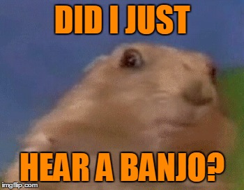 DID I JUST HEAR A BANJO? | made w/ Imgflip meme maker