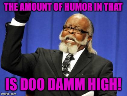 Too Damn High Meme | THE AMOUNT OF HUMOR IN THAT IS DOO DAMM HIGH! | image tagged in memes,too damn high | made w/ Imgflip meme maker