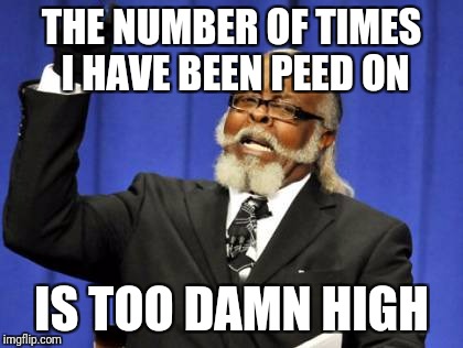 Too Damn High Meme | THE NUMBER OF TIMES I HAVE BEEN PEED ON; IS TOO DAMN HIGH | image tagged in memes,too damn high | made w/ Imgflip meme maker