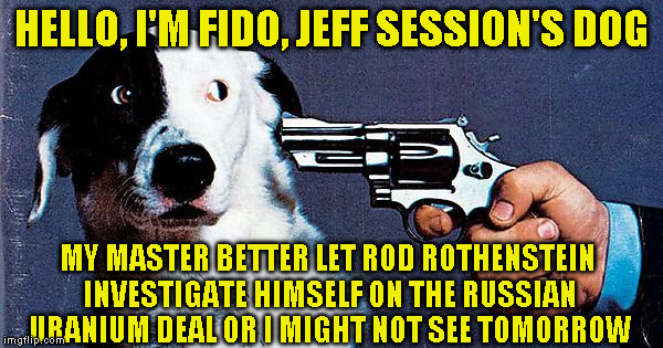HELLO, I'M FIDO, JEFF SESSION'S DOG; MY MASTER BETTER LET ROD ROTHENSTEIN INVESTIGATE HIMSELF ON THE RUSSIAN URANIUM DEAL OR I MIGHT NOT SEE TOMORROW | image tagged in dog lampoon | made w/ Imgflip meme maker