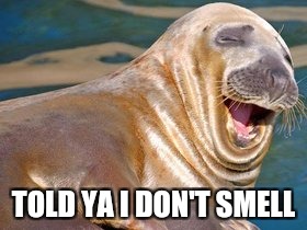 TOLD YA I DON'T SMELL | made w/ Imgflip meme maker