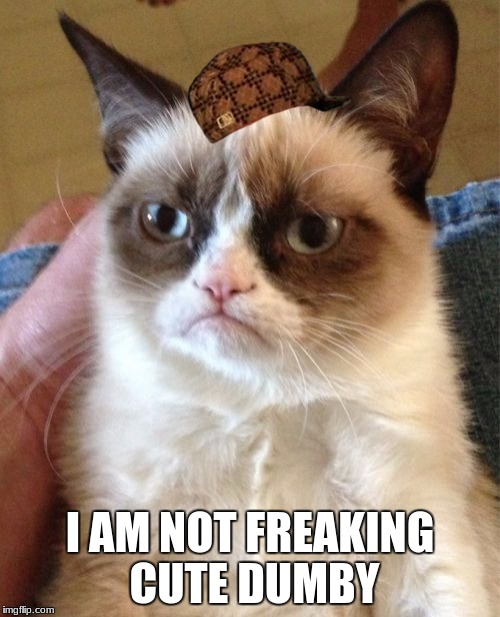 Grumpy Cat | I AM NOT FREAKING CUTE DUMBY | image tagged in memes,grumpy cat,scumbag | made w/ Imgflip meme maker