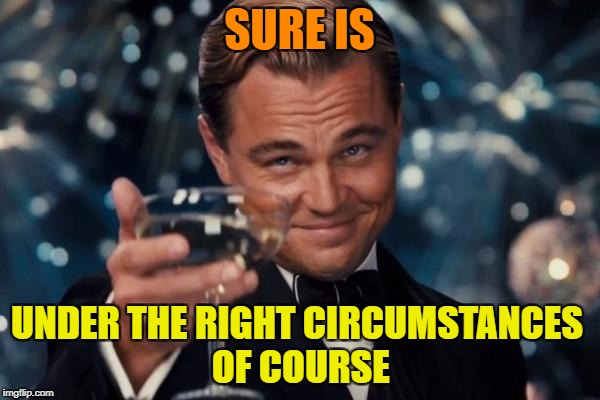 Leonardo Dicaprio Cheers Meme | SURE IS UNDER THE RIGHT CIRCUMSTANCES OF COURSE | image tagged in memes,leonardo dicaprio cheers | made w/ Imgflip meme maker