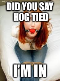 DID YOU SAY HOG TIED I’M IN | made w/ Imgflip meme maker