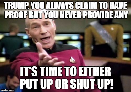 Trump, Where's the Proof? Put Up or Shut Up | TRUMP, YOU ALWAYS CLAIM TO HAVE PROOF BUT YOU NEVER PROVIDE ANY; IT'S TIME TO EITHER PUT UP OR SHUT UP! | image tagged in put up or shut up,picard wtf,donald trump baseless claims,bullying behavior | made w/ Imgflip meme maker