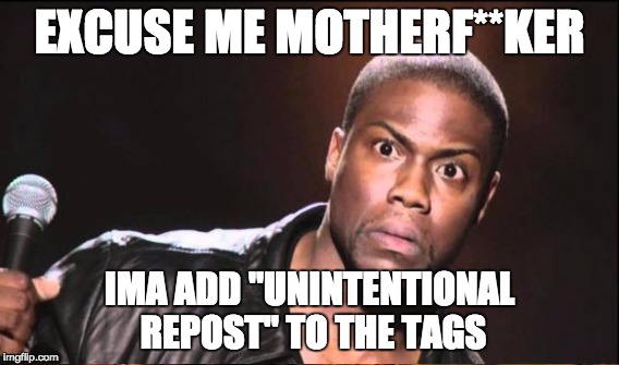 EXCUSE ME MOTHERF**KER IMA ADD "UNINTENTIONAL REPOST" TO THE TAGS | made w/ Imgflip meme maker