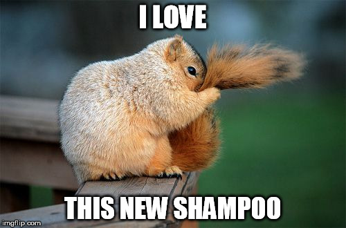 I LOVE THIS NEW SHAMPOO | made w/ Imgflip meme maker